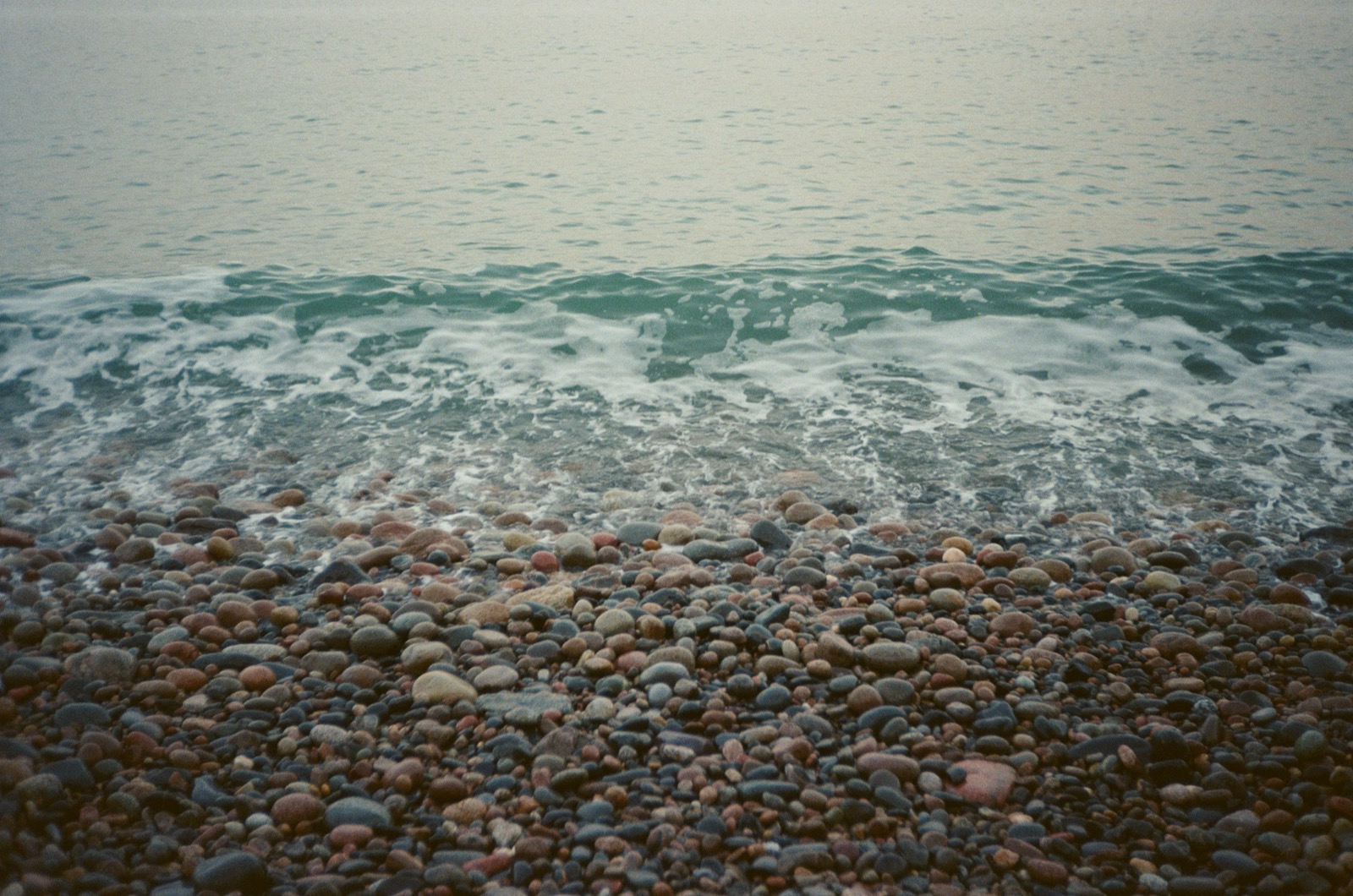 Alpine lake surrounded by evergreen trees
